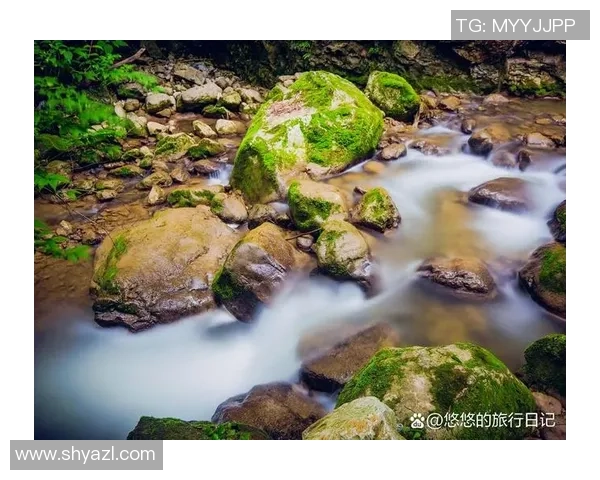 乌栖沙岩与自然奇观的碰撞探索生态之美与人文魅力的交融