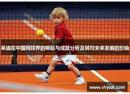 吴迪在中国网球界的崛起与成就分析及其对未来发展的影响