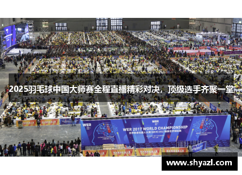2025羽毛球中国大师赛全程直播精彩对决，顶级选手齐聚一堂