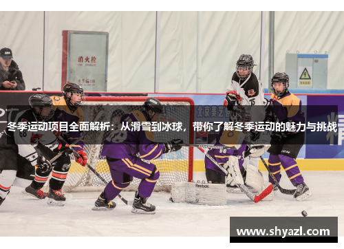 冬季运动项目全面解析：从滑雪到冰球，带你了解冬季运动的魅力与挑战