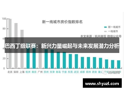 巴西丁级联赛：新兴力量崛起与未来发展潜力分析