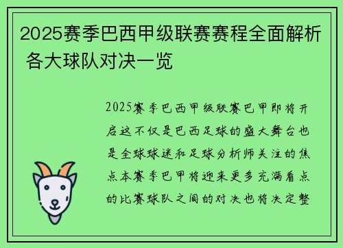 2025赛季巴西甲级联赛赛程全面解析 各大球队对决一览
