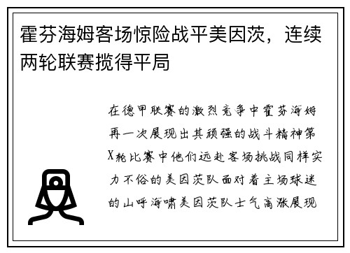 霍芬海姆客场惊险战平美因茨，连续两轮联赛揽得平局