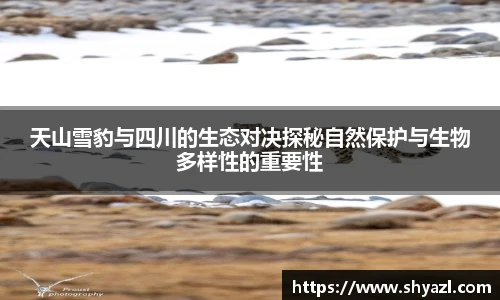 天山雪豹与四川的生态对决探秘自然保护与生物多样性的重要性